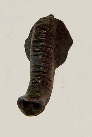 Olifant