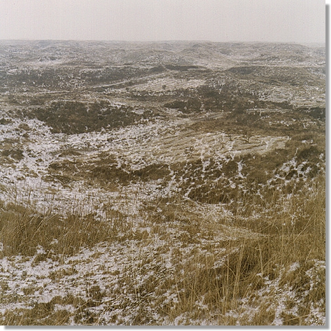 Zonder titel (Sneeuwveld)