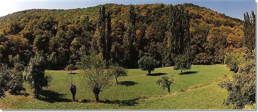 Middaguur