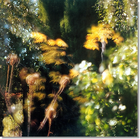Flowers (Green)