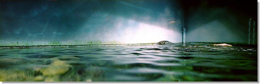 The near and the elsewhere