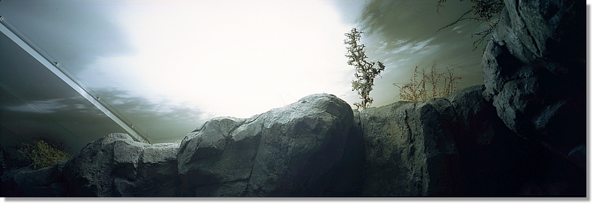 The near and the elsewhere