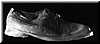Schoen 1991 foto op linnen 60x140cm