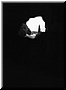 View 1992 foto op linnen 160x120cm