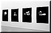 Seeing Things Stedelijk Museum Amsterdam 1992