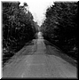 Zonder titel (Bosweg) 1995 zw/w foto 70x70cm