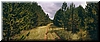 Middaguur 1997 kleurenfoto 70x175cm