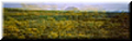 Brem 2001 kleurenfoto 70x215cm