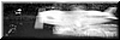 De Pelikaan 1999 zw/w foto 80x250cm